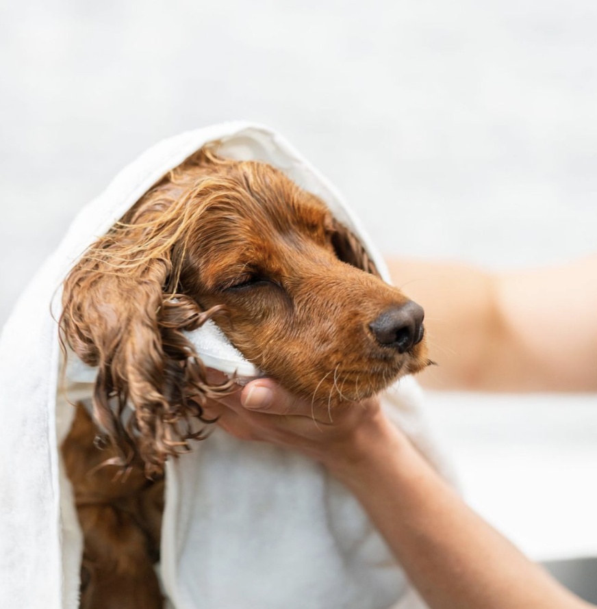 Naturlig hundeshampoo - Billede 2