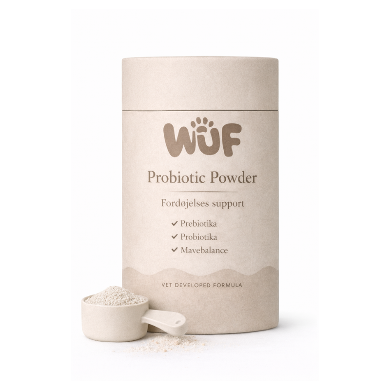 Probiotic Powder