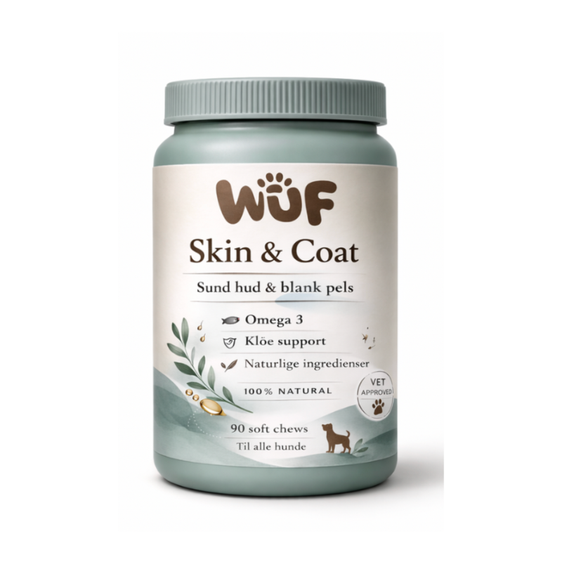 Skin & Coat